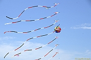 PENVINS 2012 - 0356